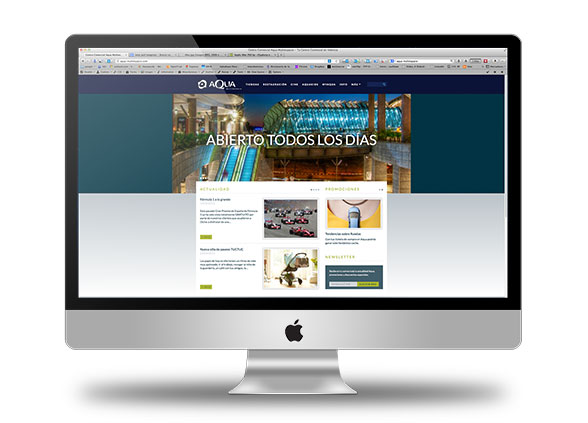 Diseño nueva web de Aqua por desmarcat